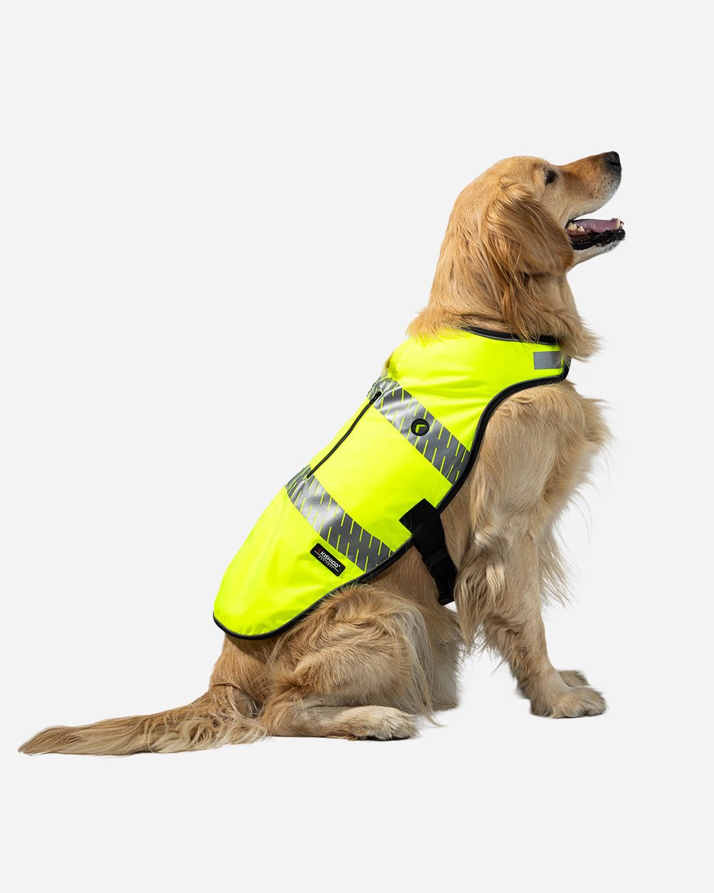 Kishigo - Hi-Vis All-in-One Dog Safety Vest - DG100-101